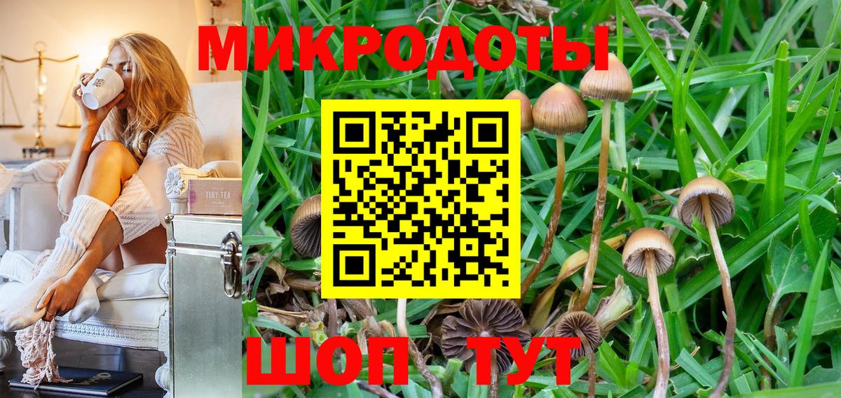 Галлюциногенные грибы мицелий  Галлюциногенные грибы GOLDEN TEACHER  Вход с VPN  Реутов 
