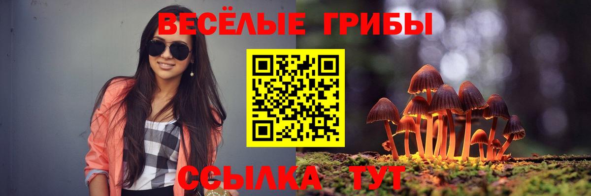 Псилоцибиновые грибы Psilocybine cubensis Реутов